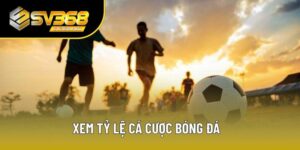 Xem Tỷ Lệ Cá Cược Bóng Đá