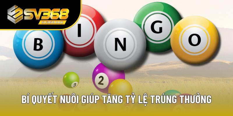 Bí quyết nuôi giúp tăng tỷ lệ trúng thưởng Bí quyết nuôi giúp tăng tỷ lệ trúng thưởng