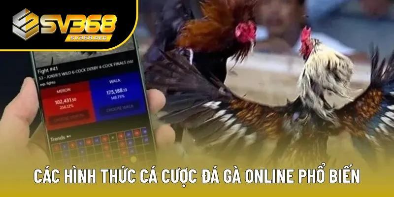 Có khá nhiều loại hình để tham gia cá cược đá gà Có khá nhiều loại hình để tham gia cá cược đá gà