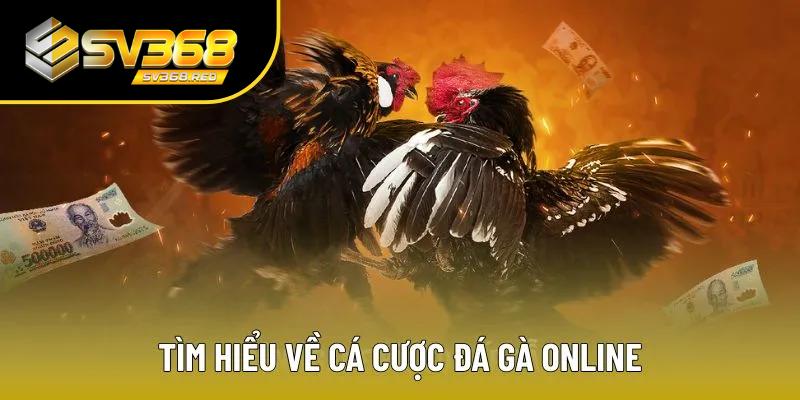 Cá cược đá gà online khá phổ biến Cá cược đá gà online khá phổ biến