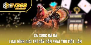 Cá cược đá gà