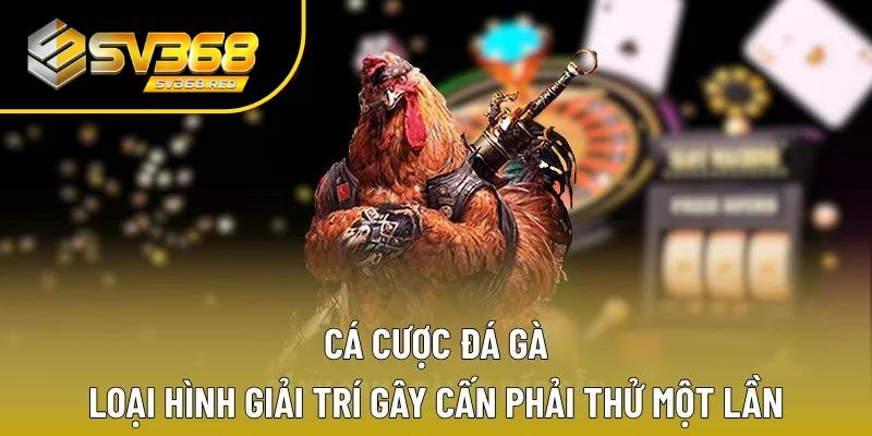 Cá cược đá gà