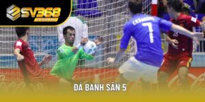 đá banh sân 5