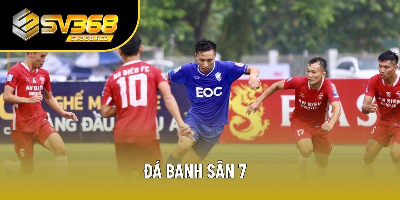 đá banh sân 7
