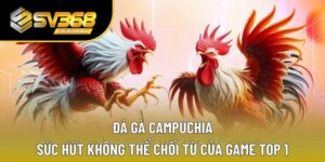 Đá Gà Campuchia