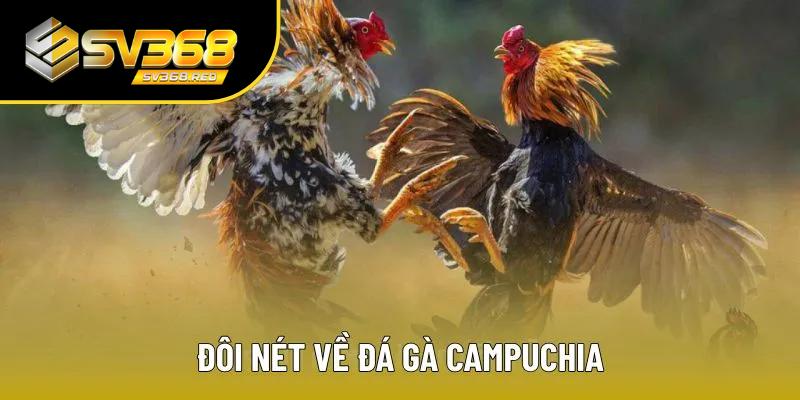 Tìm hiểu vài thông tin về đá gà Campuchia Tìm hiểu vài thông tin về đá gà Campuchia