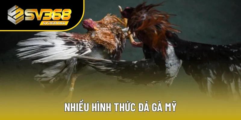 Đá gà Mỹ có nhiều loại khác nhau Đá gà Mỹ có nhiều loại khác nhau