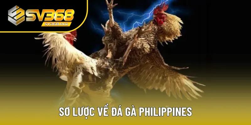 Giới thiệu chung về bộ môn đá gà Philippines Giới thiệu chung về bộ môn đá gà Philippines