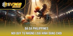 đá gà Philippines