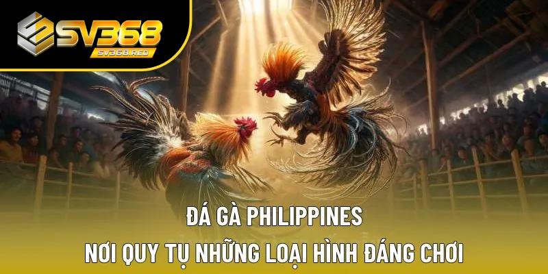 đá gà Philippines