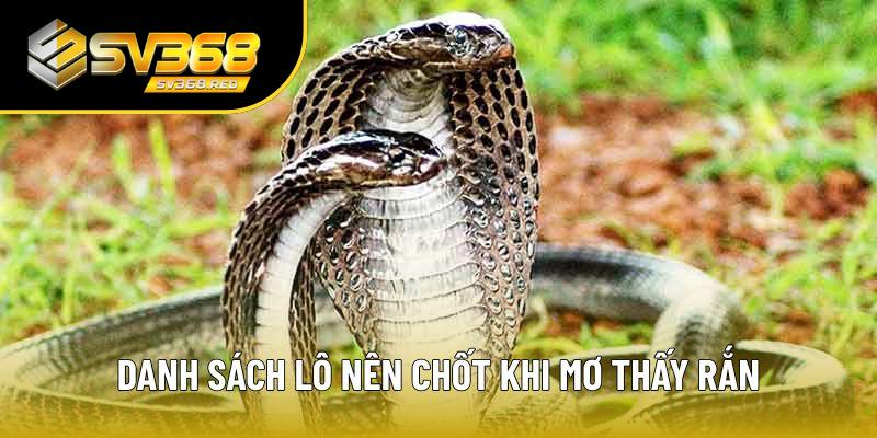 Danh sách lô nên chốt khi chiêm bao thấy rắn Danh sách lô nên chốt khi chiêm bao thấy rắn