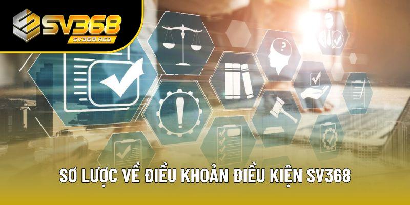 Đôi nét về điều khoản điều kiện SV368