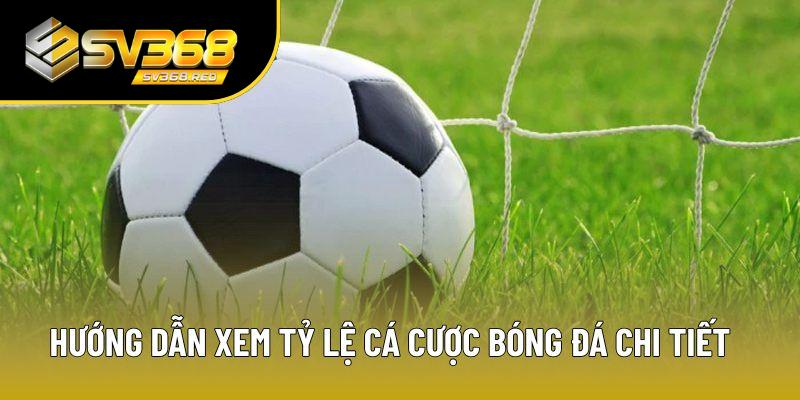 Hướng dẫn xem tỷ lệ cá cược bóng đá chi tiết Hướng dẫn xem tỷ lệ cá cược bóng đá chi tiết