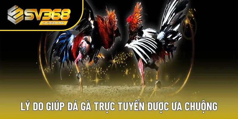 Có nhiều lý do giúp game đá gà trực tuyến được ưa chuộng Có nhiều lý do giúp game đá gà trực tuyến được ưa chuộng