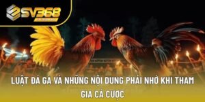 luật đá gà
