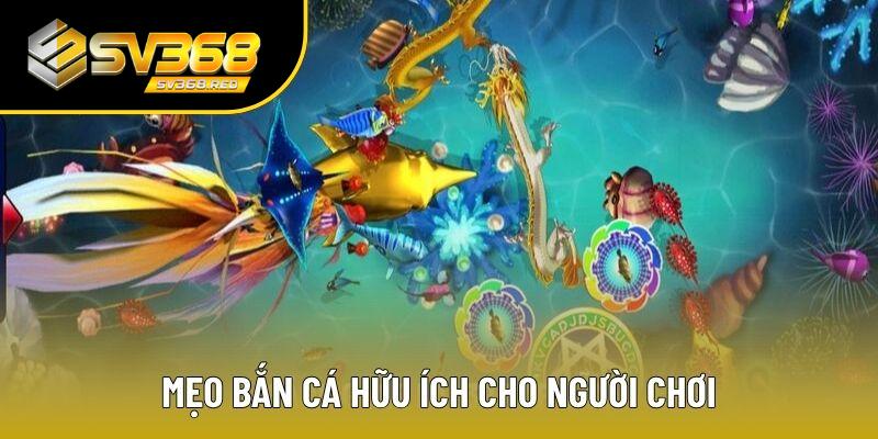 Mẹo bắn cá hữu ích dành cho thành viên tham khảo Mẹo bắn cá hữu ích dành cho thành viên tham khảo