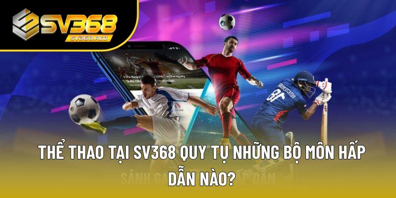 Thể thao thu hút người chơi Sv368 nhờ hàng ngàn giải đấu lớn Thể thao thu hút người chơi Sv368 nhờ hàng ngàn giải đấu lớn