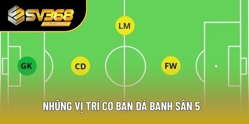 Những vị trí cơ bản đá banh sân 5 Những vị trí cơ bản đá banh sân 5