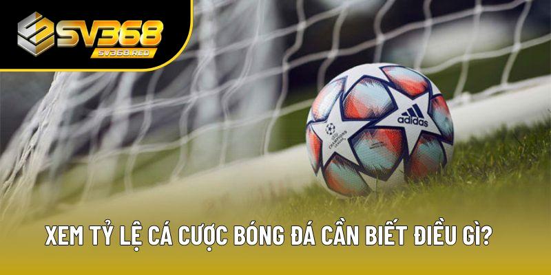Xem tỷ lệ cá cược bóng đá cần biết điều gì? Xem tỷ lệ cá cược bóng đá cần biết điều gì?