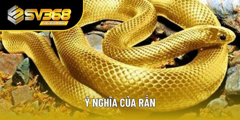Ý nghĩa của rắn Ý nghĩa của rắn